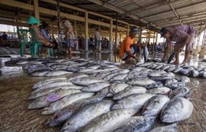 KKP dan GEF 6 sinergi pengelolaan sumber daya laut berkelanjutan