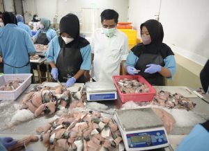 Sistem Rantai Dingin Jamin Kualitas Ikan untuk Program Makan Bergizi di Riau