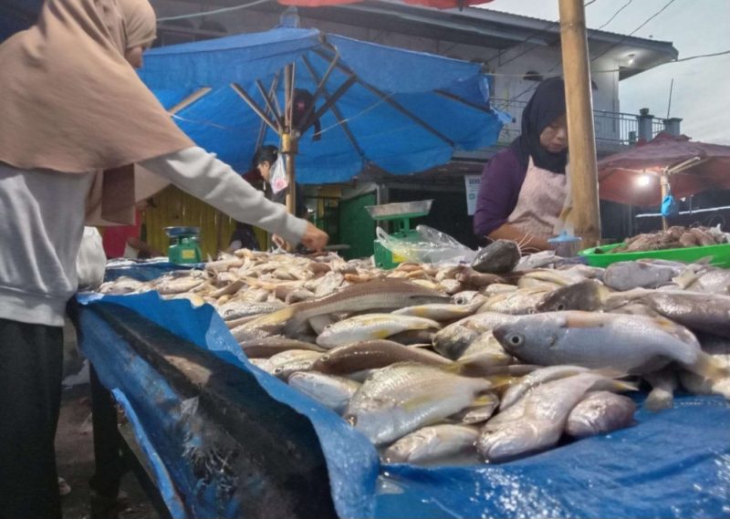 Melimpahnya Hasil Laut Picu Penurunan Harga Ikan di Pasar Bengkulu
