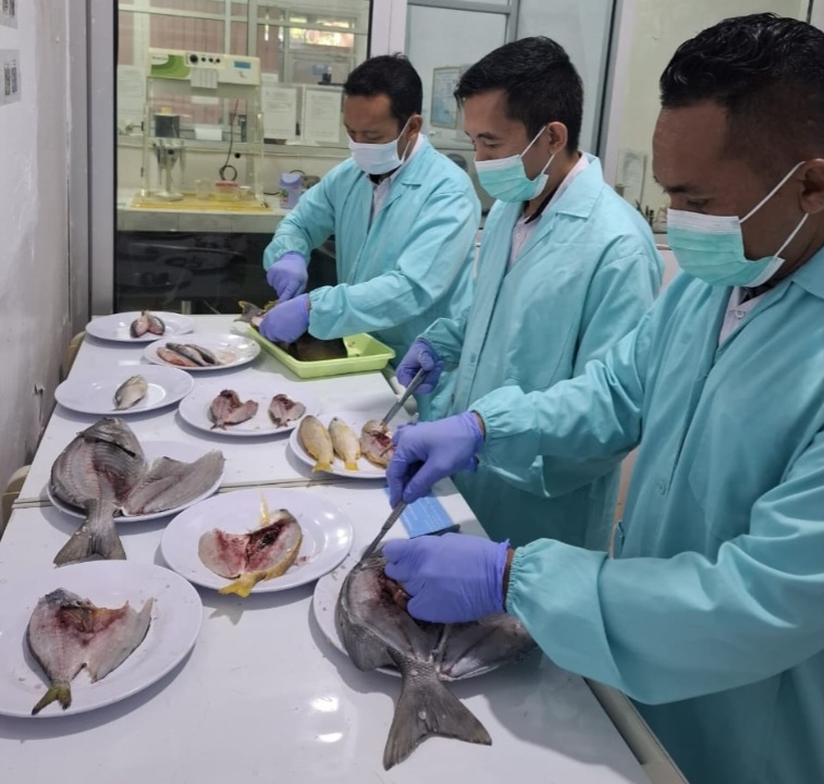 KKP: Ikan Hasil Destructive Fishing Membahayakan! Konsumsi Bisa Fatal!