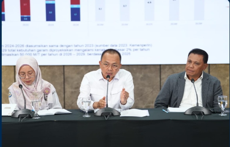 KKP Buka Peluang Investasi di Sentra Garam Rote Ndao, Targetkan Swasembada 2027