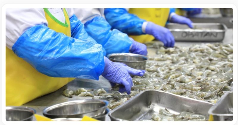 Kementerian Kelautan dan Perikanan RI Raih Pengakuan AS sebagai Lembaga Sertifikasi Ekspor Udang